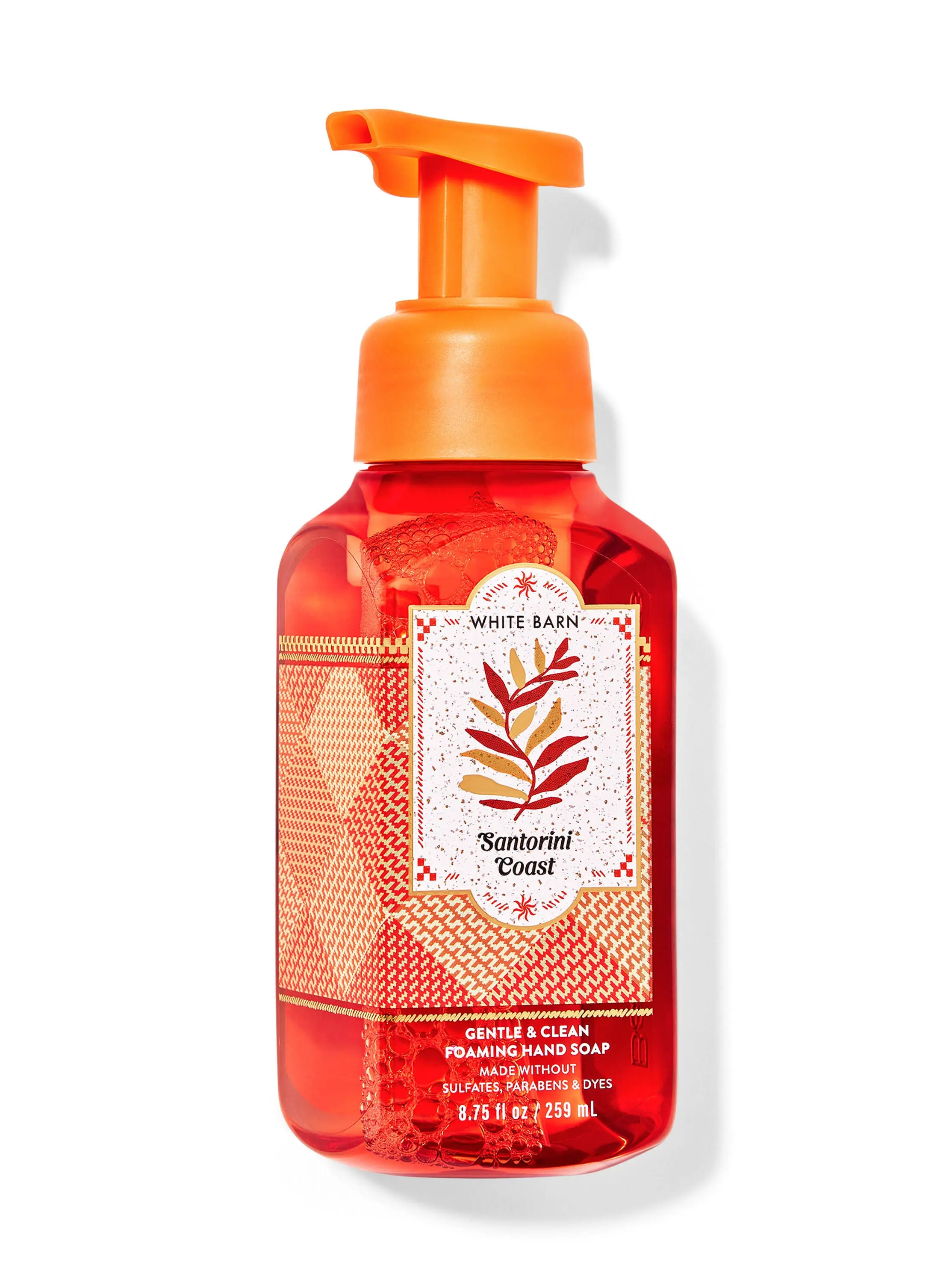 Santorini Coast Gentle & Clean Foaming Hand Soap