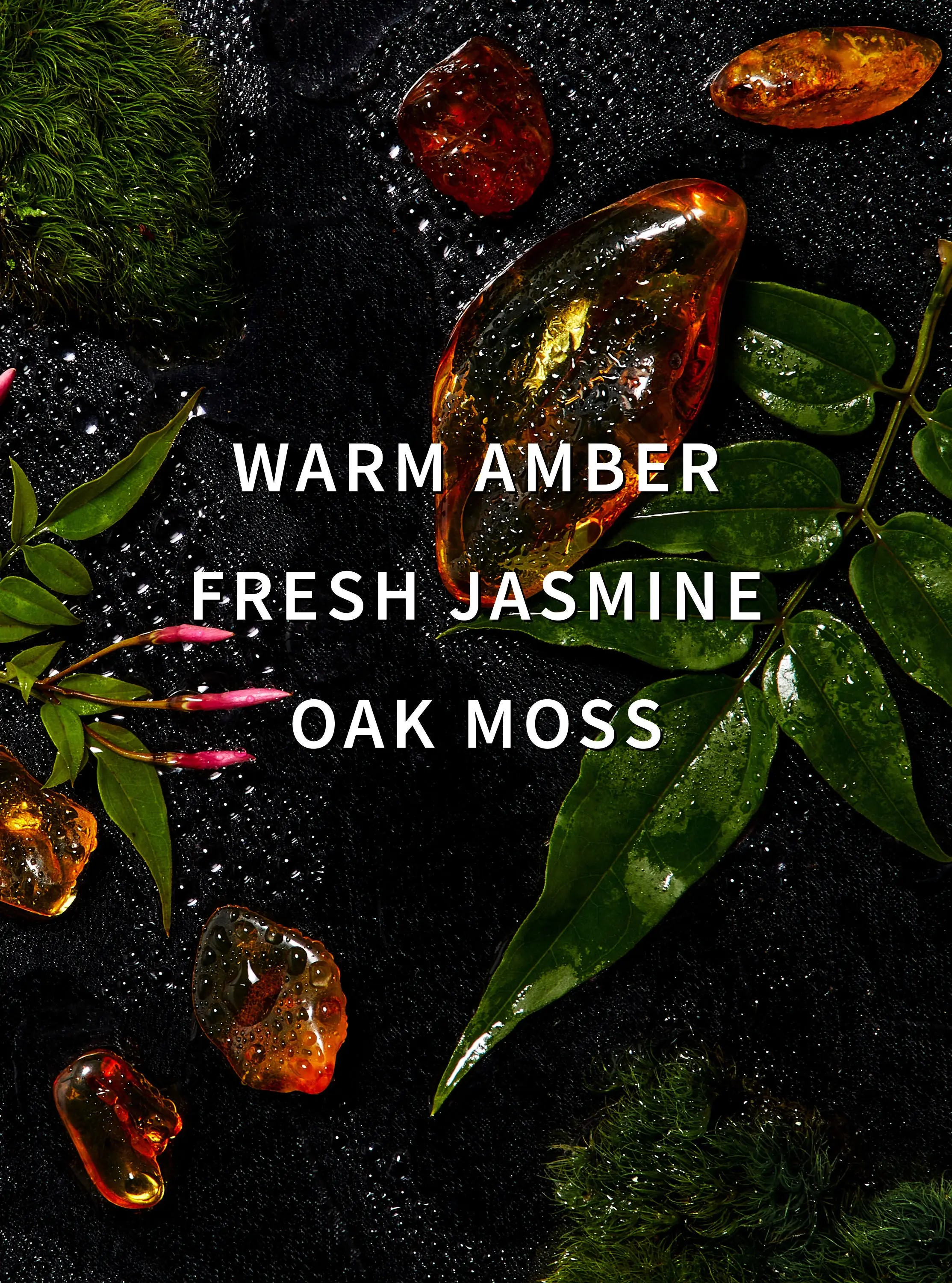 Amber Blush Fragrance Booster - Image 2